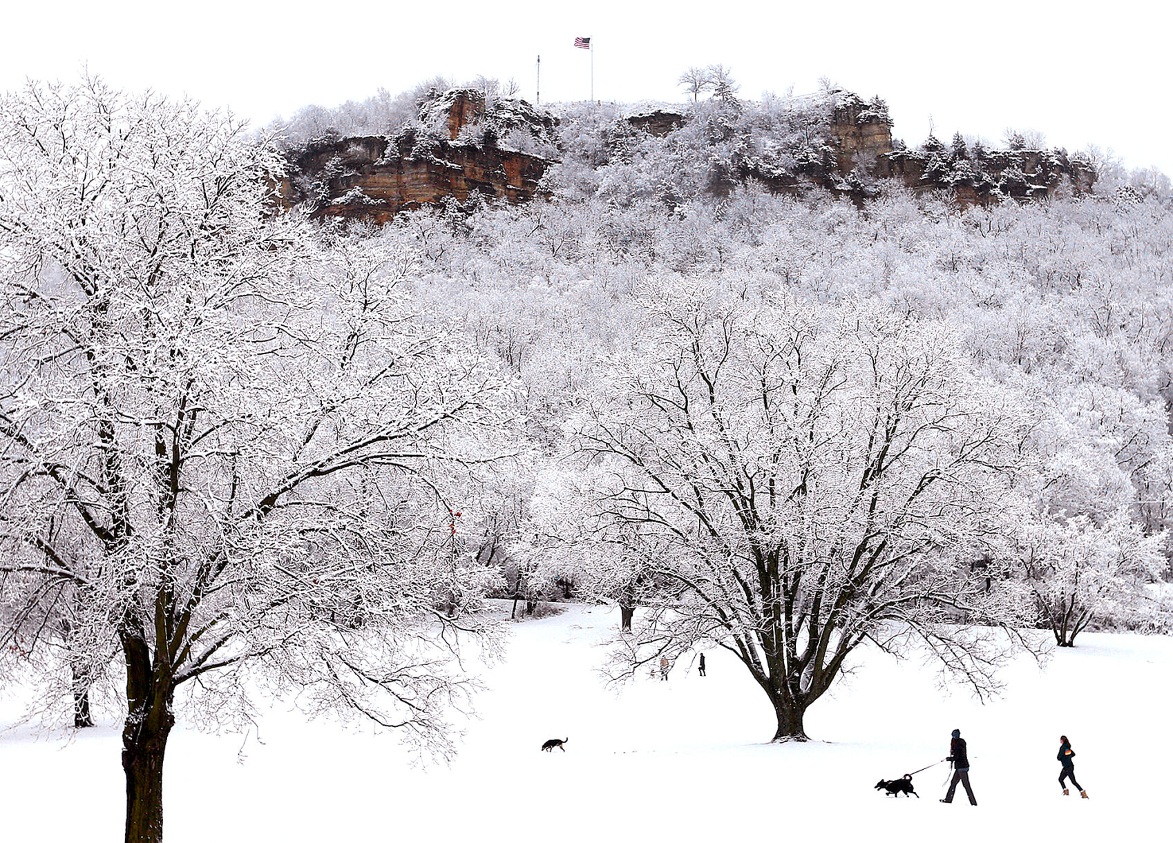 Picture of perfect snow